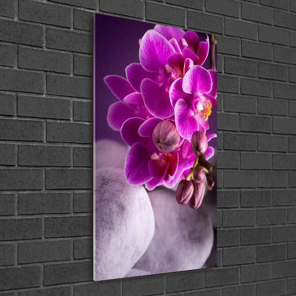 Staand plexiglas foto Roze orchidee