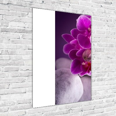 Staand plexiglas foto Roze orchidee