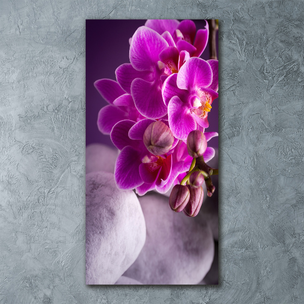 Staand plexiglas foto Roze orchidee