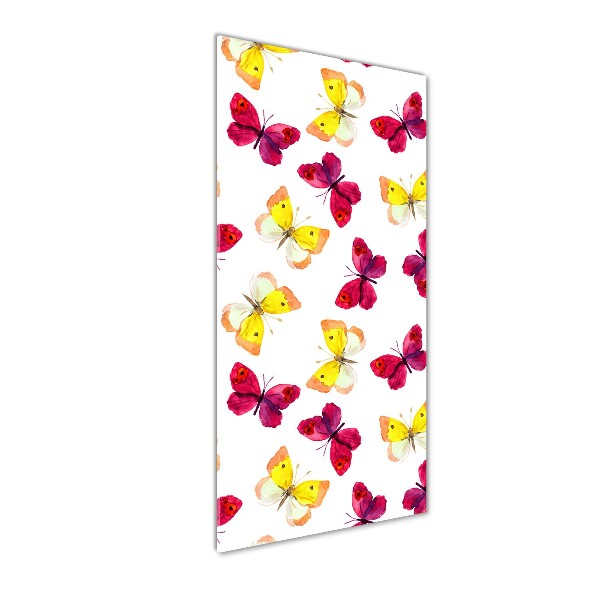 Staand plexiglas foto Kleurrijke vlinders