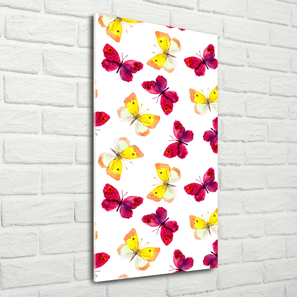 Staand plexiglas foto Kleurrijke vlinders