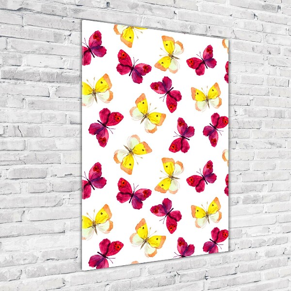 Staand plexiglas foto Kleurrijke vlinders