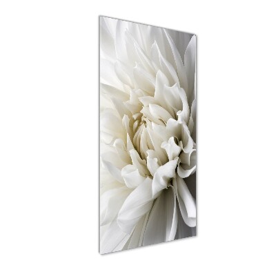 Staand foto plexiglas Witte dahlia