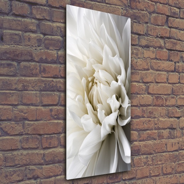 Staand foto plexiglas Witte dahlia