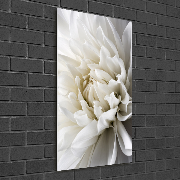 Staand foto plexiglas Witte dahlia