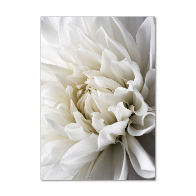 Staand foto plexiglas Witte dahlia