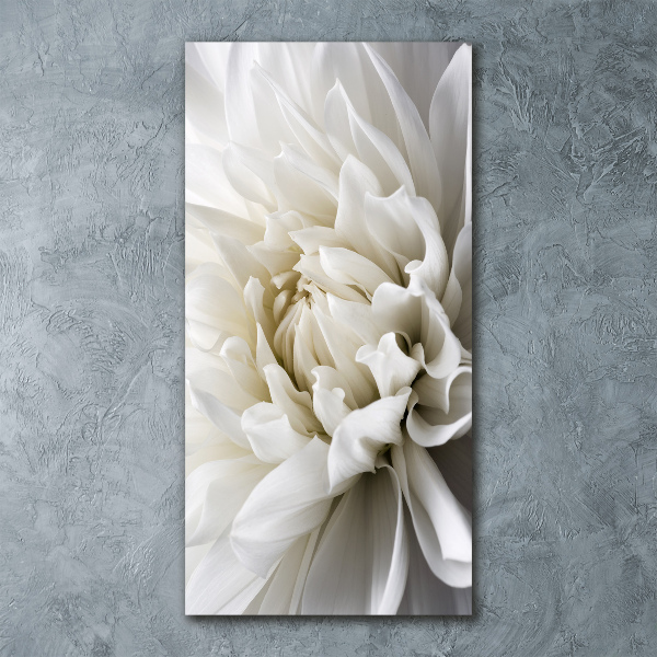 Staand foto plexiglas Witte dahlia