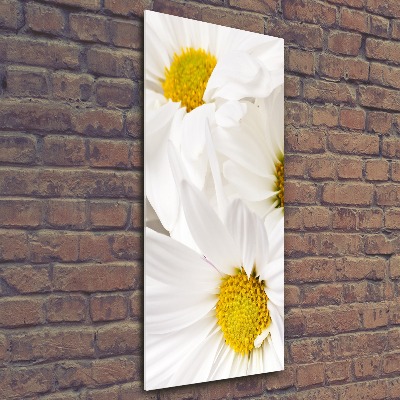 Staand foto in plexiglas Madeliefjes