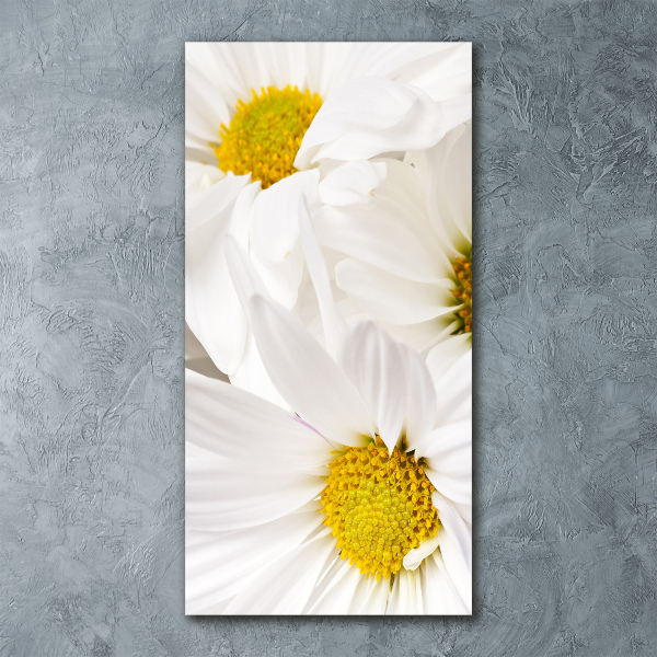 Staand foto in plexiglas Madeliefjes