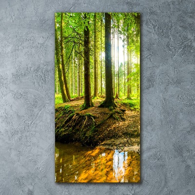 Staand foto op plexiglas Een beekje in het bos
