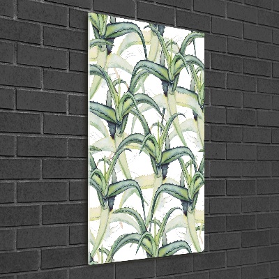 Staand foto in plexiglas Aloë