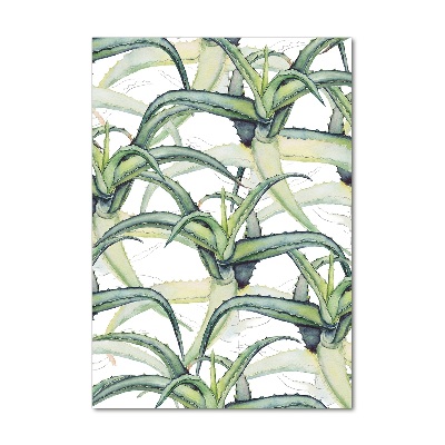 Staand foto in plexiglas Aloë