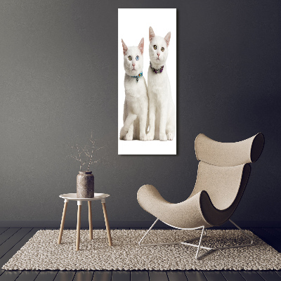 Staand foto op plexiglas Twee witte katten