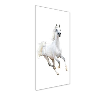 Staand plexiglas foto Een wit paard in galop