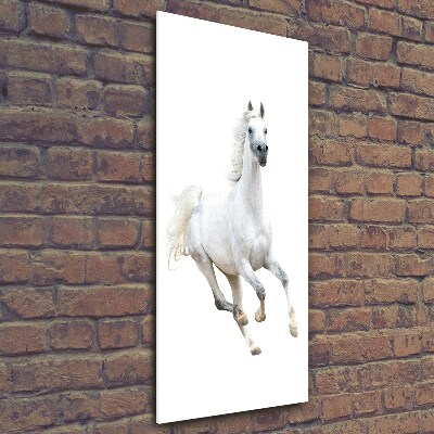 Staand plexiglas foto Een wit paard in galop