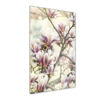 Staand plexiglas foto Magnolia