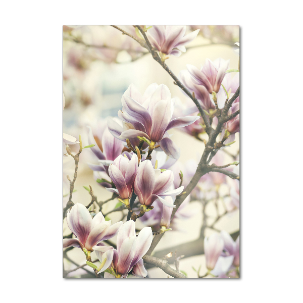 Staand plexiglas foto Magnolia