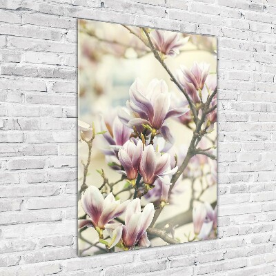 Staand plexiglas foto Magnolia