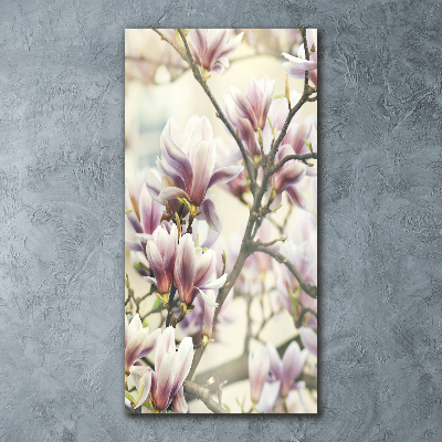 Staand plexiglas foto Magnolia