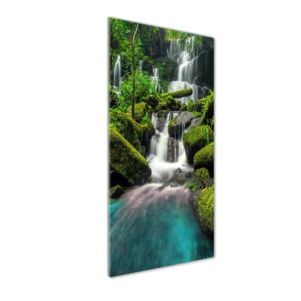Staand foto plexiglas Waterval in de jungle