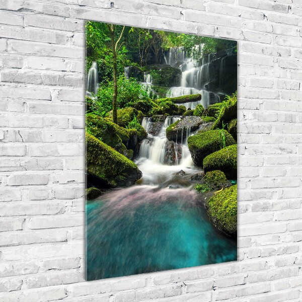 Staand foto plexiglas Waterval in de jungle