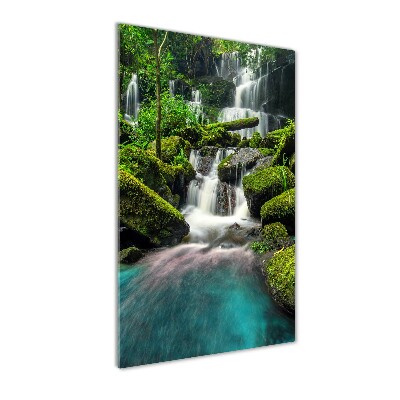 Staand foto plexiglas Waterval in de jungle