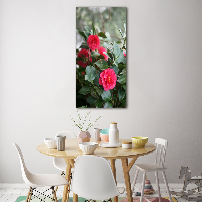 Staand foto plexiglas Camelia