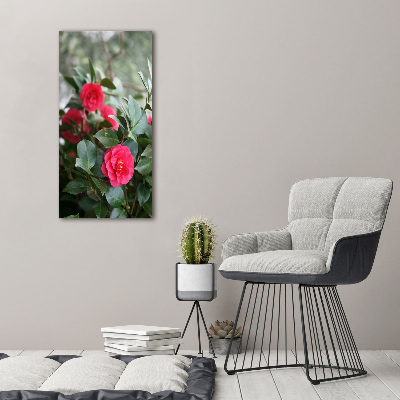 Staand foto plexiglas Camelia