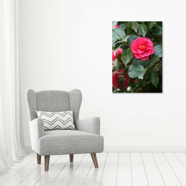 Staand foto plexiglas Camelia