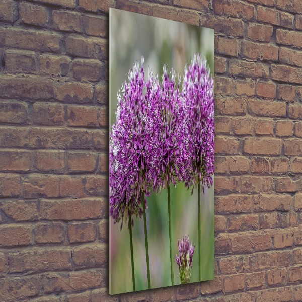 Staand foto in plexiglas Knoflookbloemen