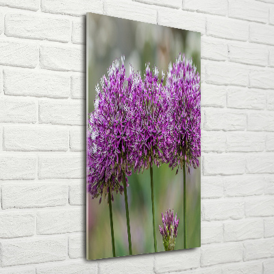 Staand foto in plexiglas Knoflookbloemen