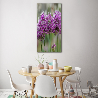 Staand foto in plexiglas Knoflookbloemen