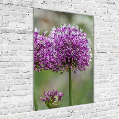Staand foto in plexiglas Knoflookbloemen