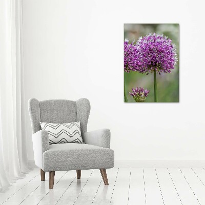 Staand foto in plexiglas Knoflookbloemen