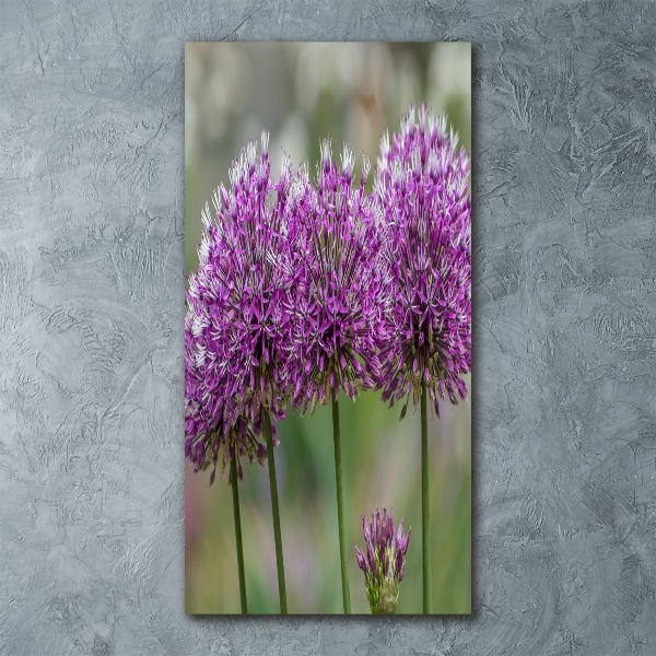 Staand foto in plexiglas Knoflookbloemen