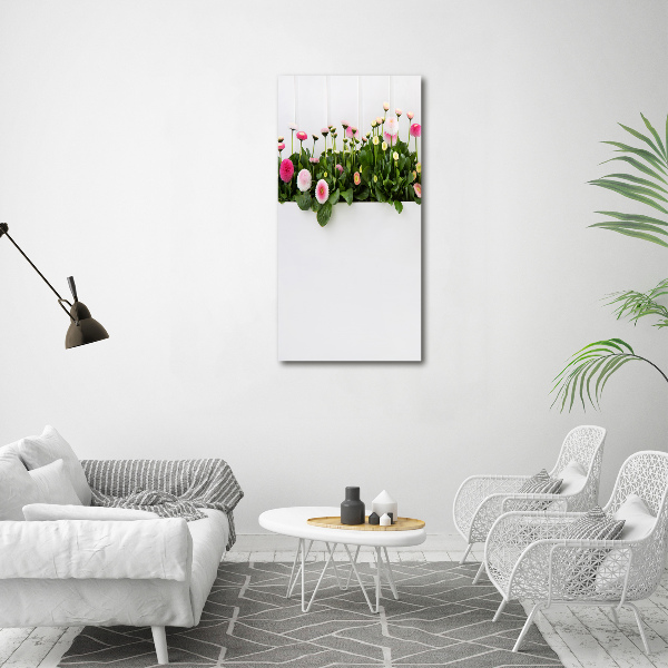 Staand foto op plexiglas Roze madeliefjes