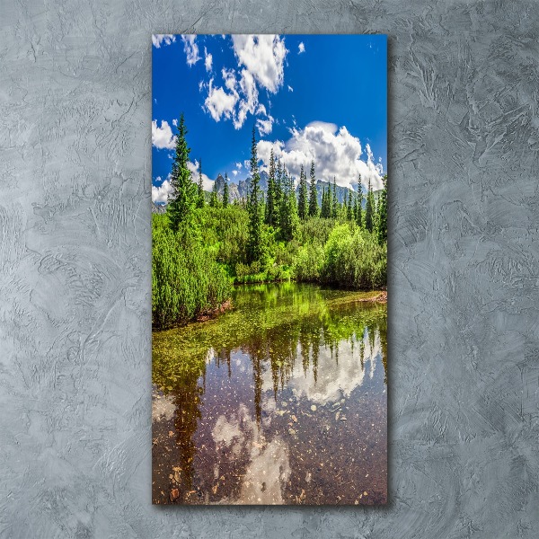 Staand foto plexiglas Meer in de bergen