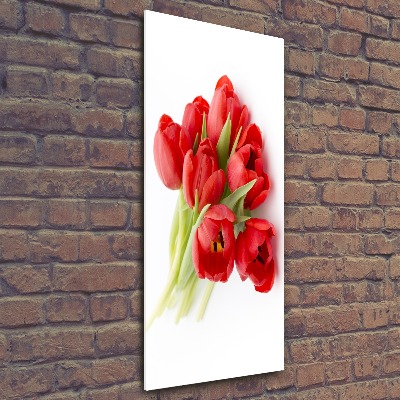 Staand foto in plexiglas Rode tulpen