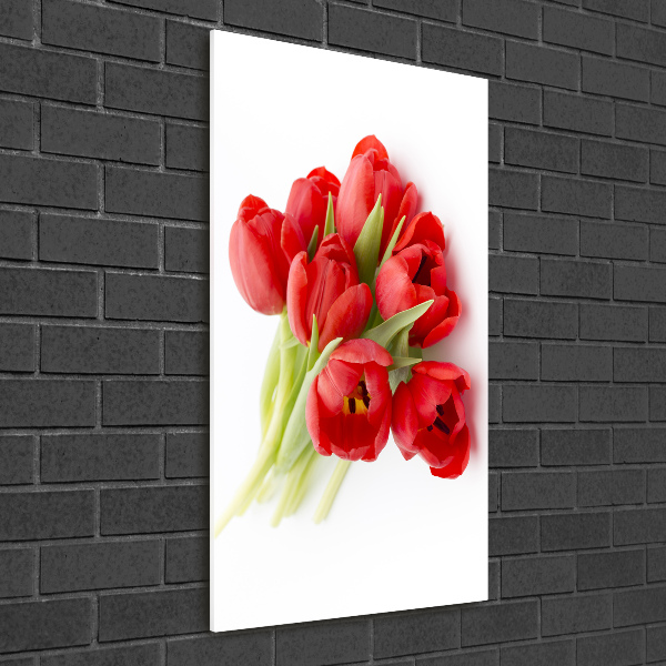 Staand foto in plexiglas Rode tulpen