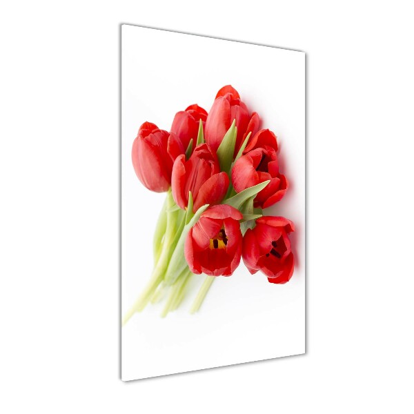 Staand foto in plexiglas Rode tulpen