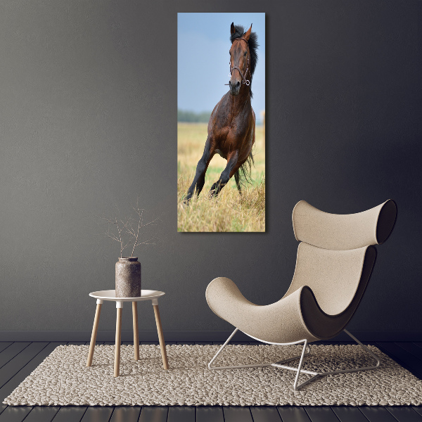 Staand foto plexiglas Een paard in een veld