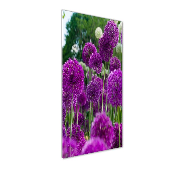 Staand plexiglas foto Knoflookbloemen