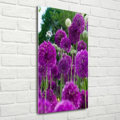 Staand plexiglas foto Knoflookbloemen