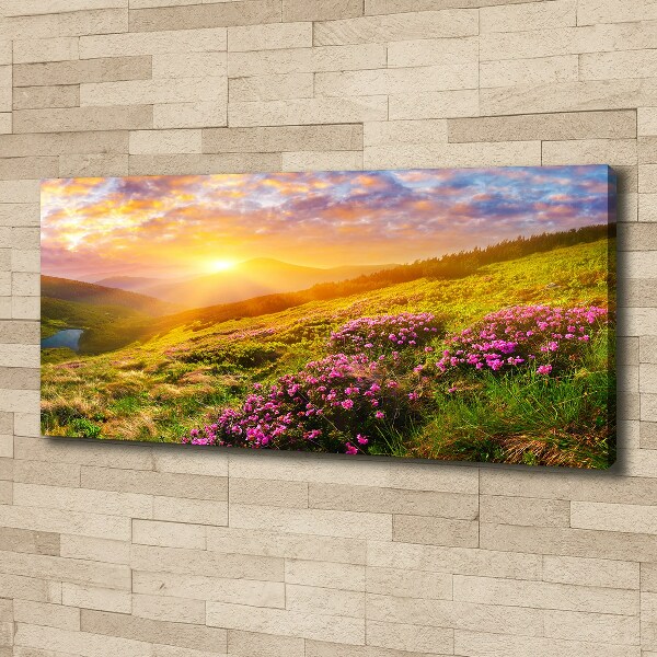 Canvas foto Zonsondergang boven de bergen