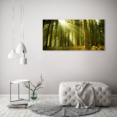Schilderij op canvas Dennenbos