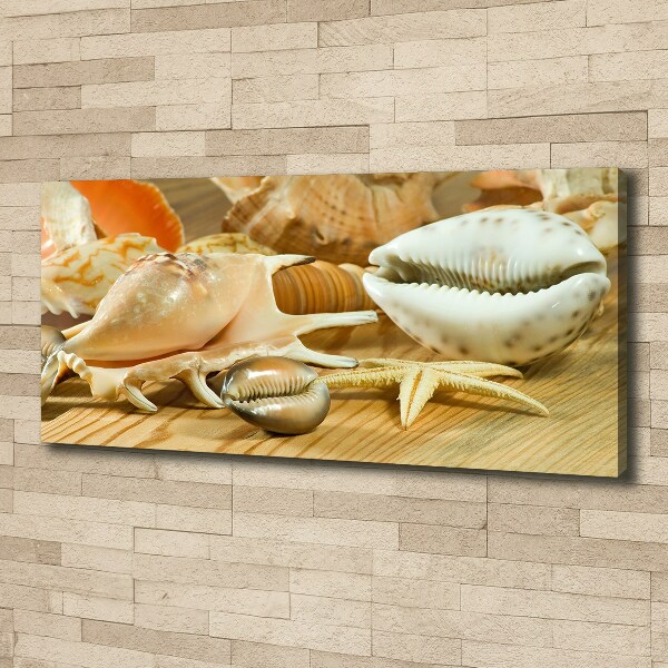Canvas foto Schelpen op hout