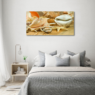 Canvas foto Schelpen op hout