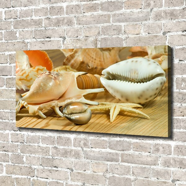 Canvas foto Schelpen op hout