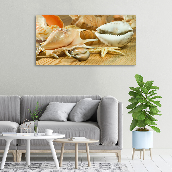 Canvas foto Schelpen op hout