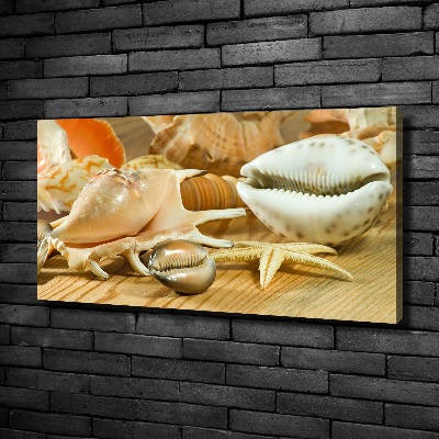 Canvas foto Schelpen op hout